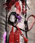 Dominatrix Bunnies Of Leeds